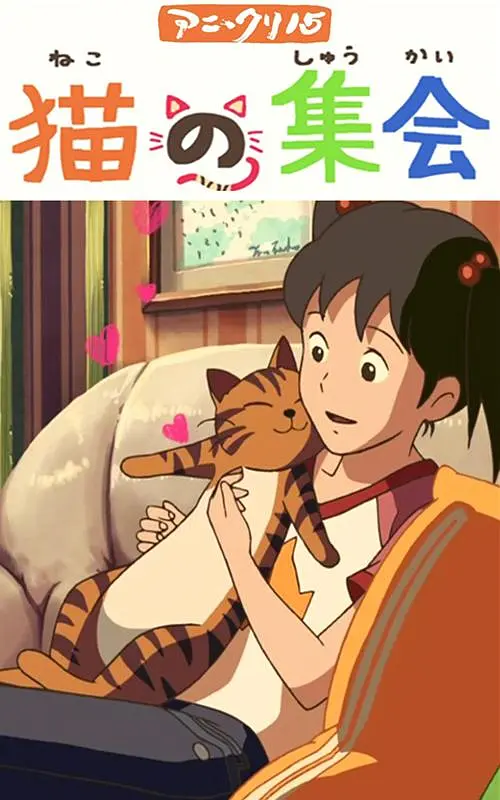 不卡区在线中文字幕